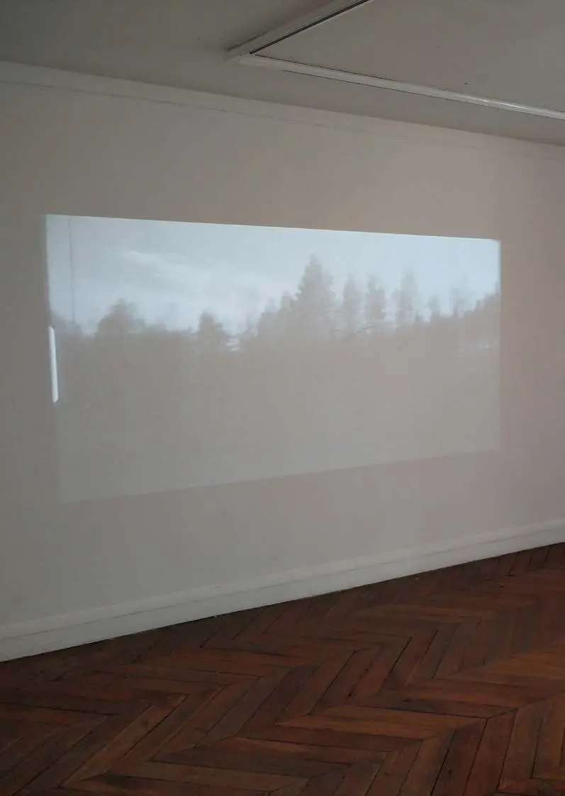 Super 8 forest projection in an exhibition space