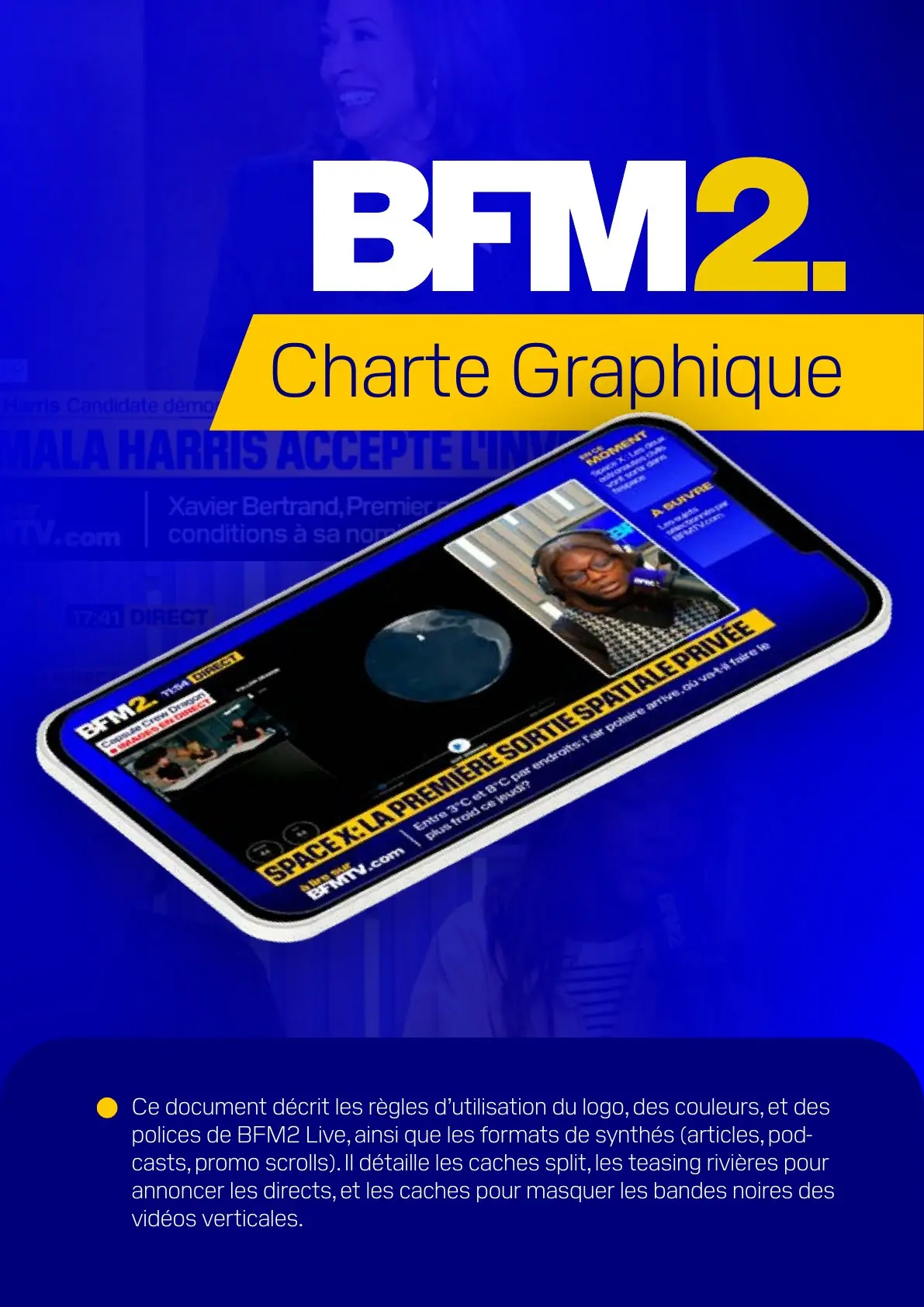 Graphic charter — page 3