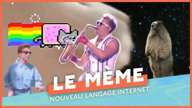 Bonsoir Bruce social thumbnail