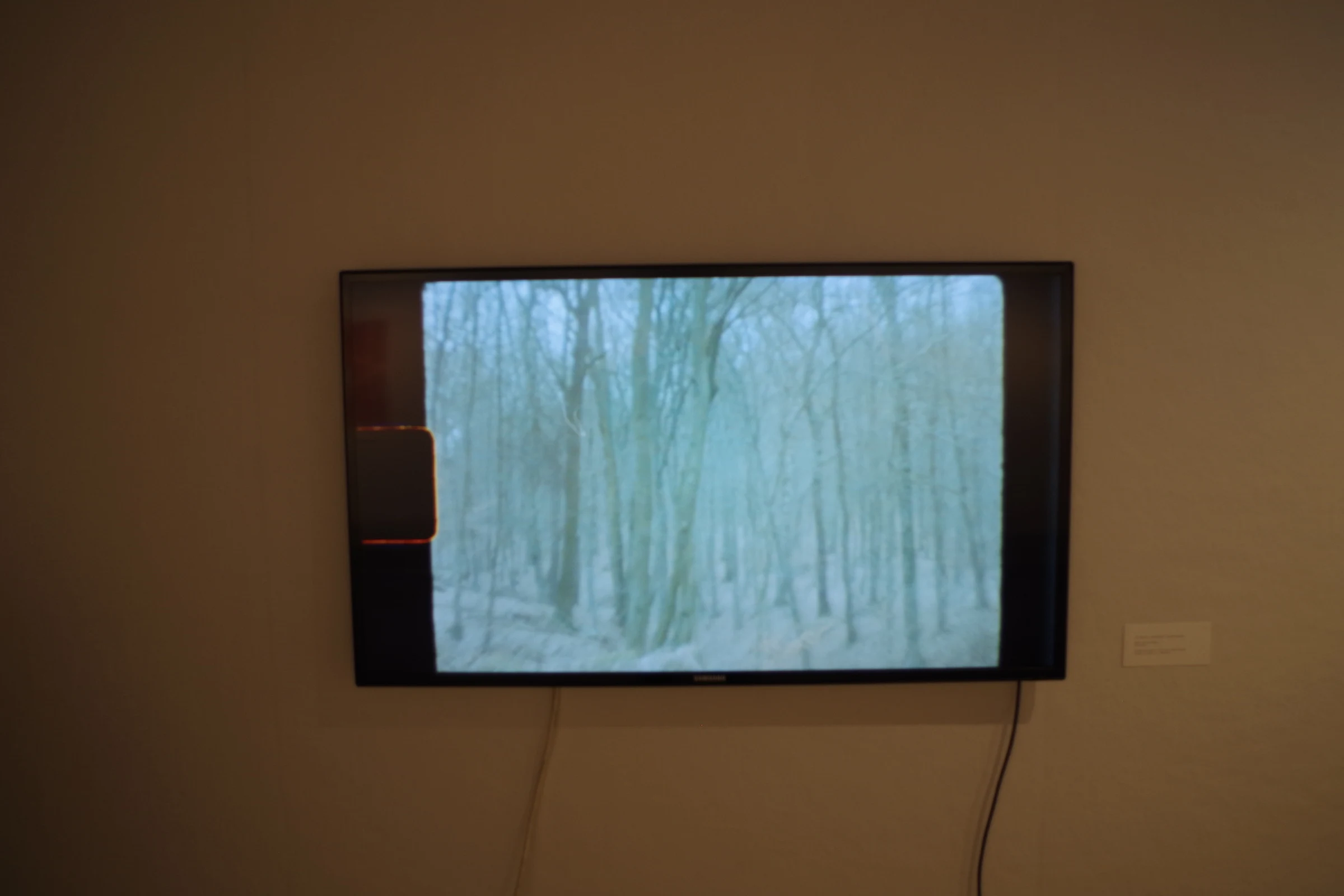Muistin väri — film on display — 2018