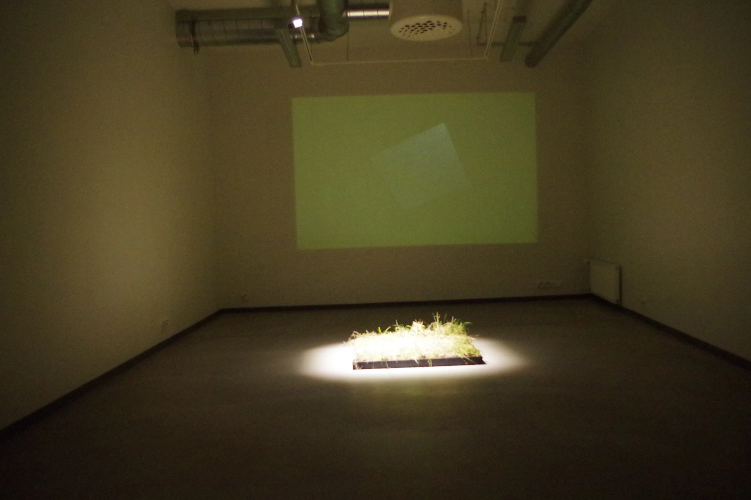 Siirtonurmi — Galleria Ratamo — 2018